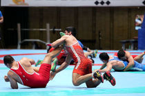 رقابت‌های انتخابی تیم‌های ملی کشتی آزاد و فرنگی