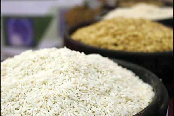 بازار برنج ایرانی رها شده است/لزوم برخورد دولت با شرکتهای دلال حوزه برنج