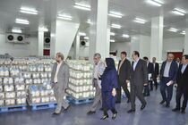 حمایت مالی بانک صادرات از فعالیت‌های توسعه‌ای شرکت تولیدی دامداران