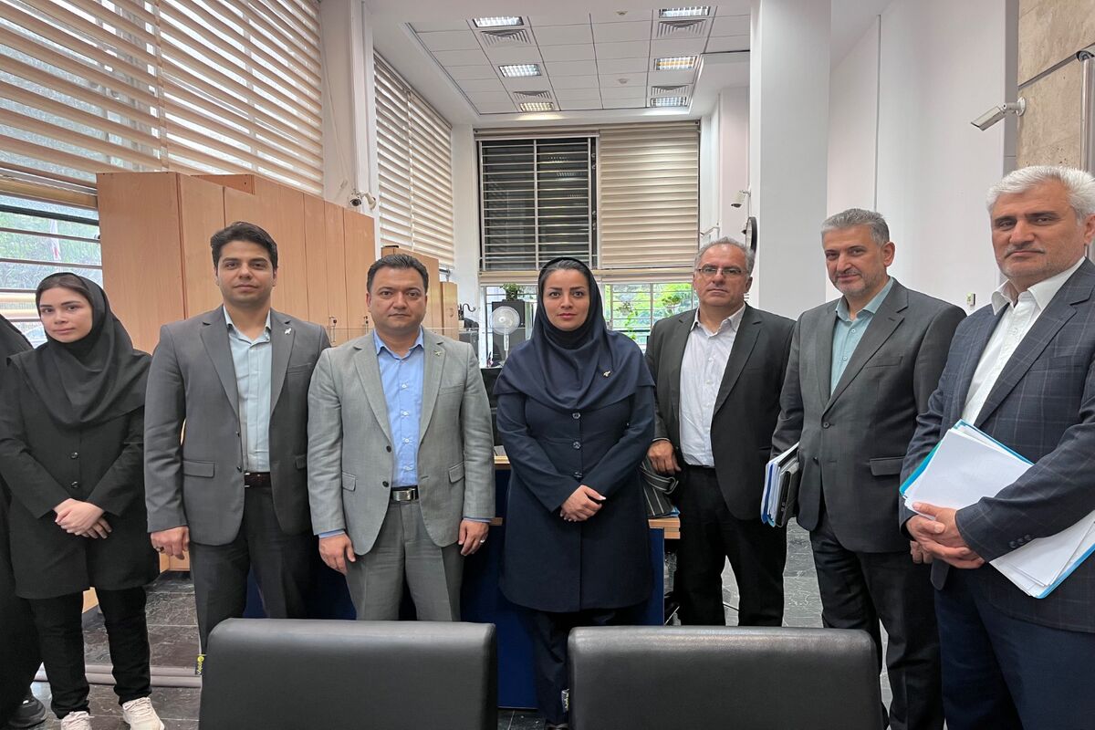 بانک سرمایه