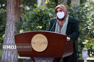 قطار تهران-وان به صورت رفت و برگشت از نوروز راه خواهد افتاد + فیلم