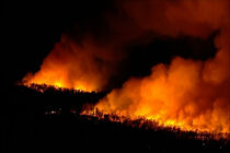 Fire in Peru left 15 killed
