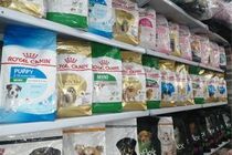 کشف غذای حیوانات خانگی قاچاق