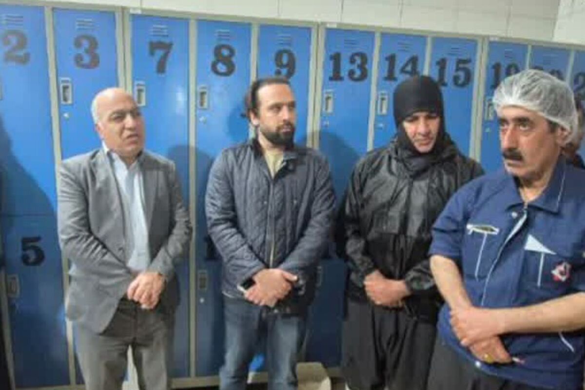 بازدید