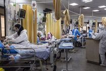 ۶۰۹ آزمایش کرونا انجام شده که نتیجه ۴۳۱ مورد مثبت شده است