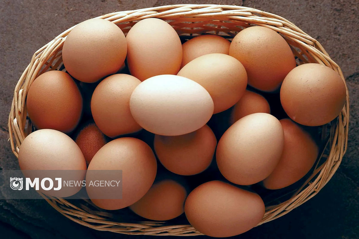 تخم مرغ