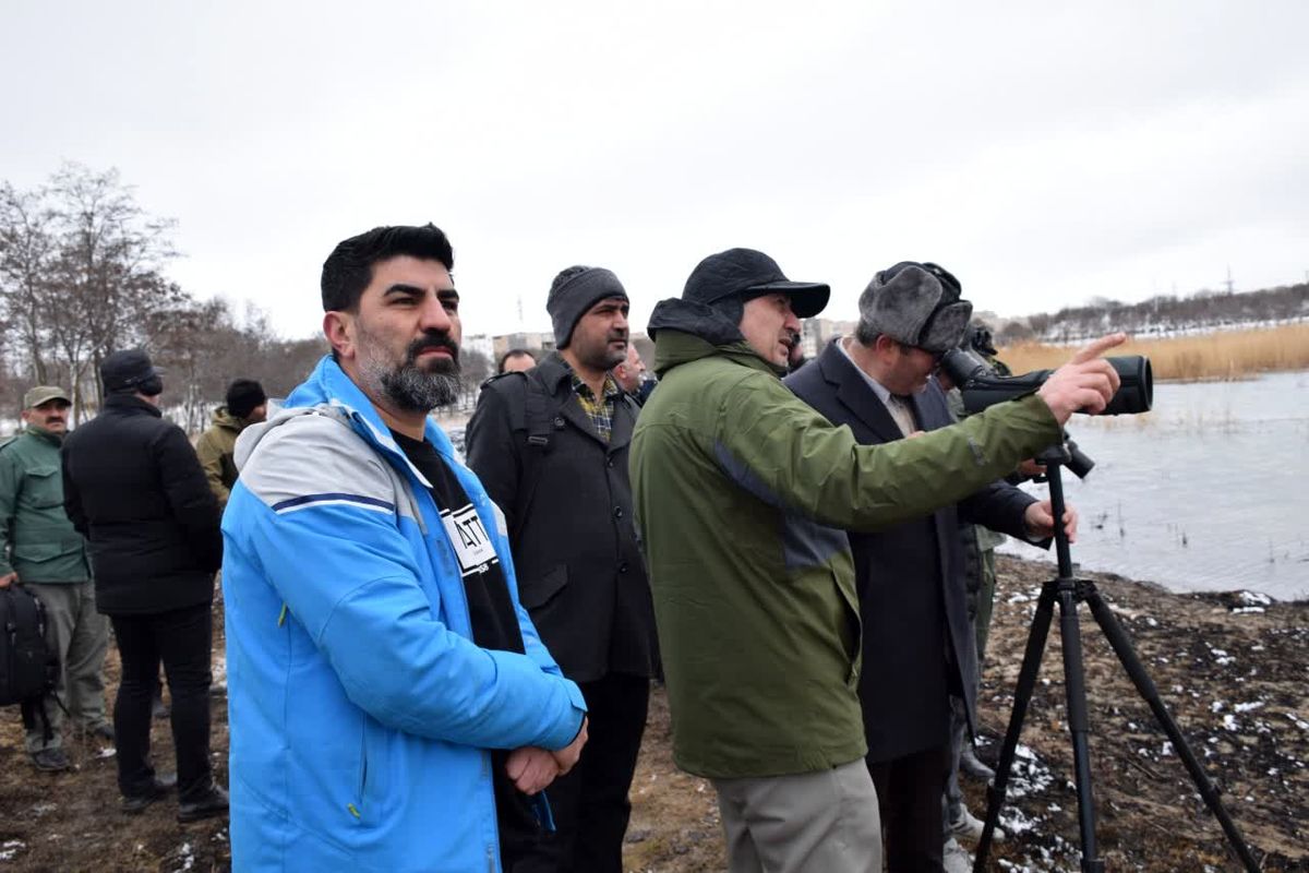 پرنده نگری در شورابیل