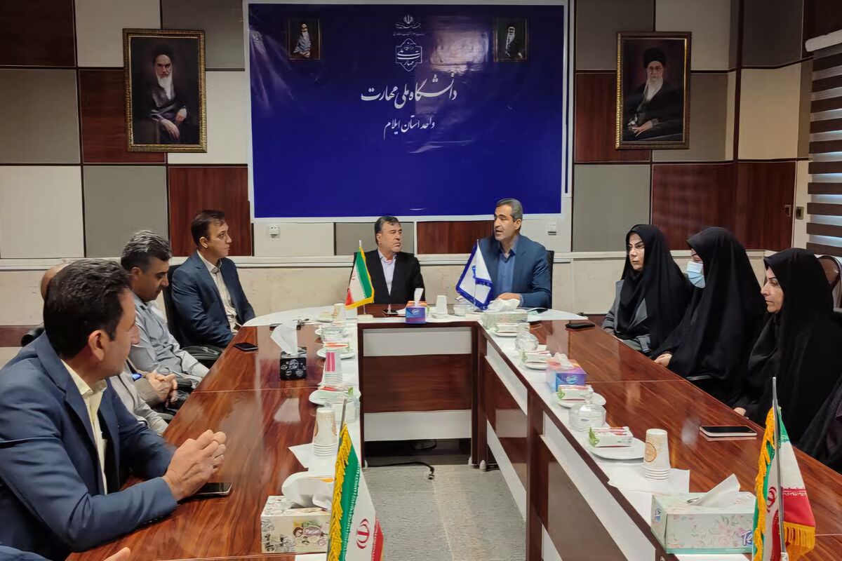 دانشگاه