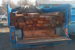 کشف 50 اصله قنداق قاچاق جنگلی در اردبیل