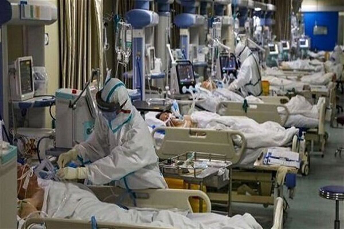 بستری های کرونایی در گیلان