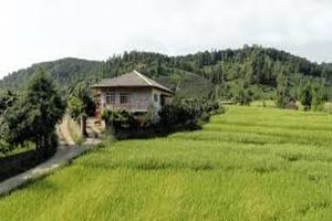 به روستائیان مازندرانی تسهیلات کم بهره داده می شود