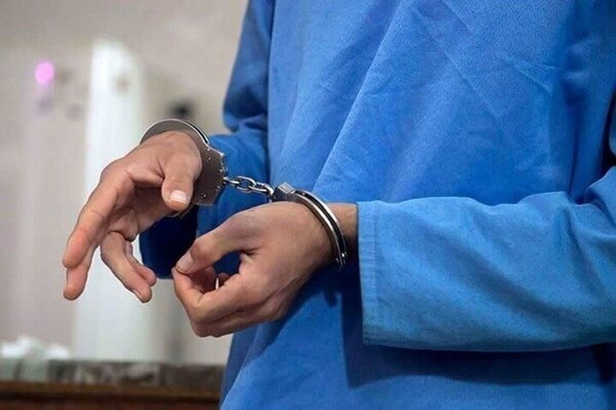 سرقت دستگیری