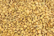 کشف و پلمب انبار احتکار  عدس در اصفهان