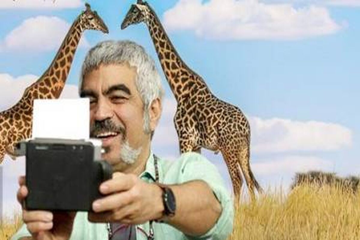 صبحانه با زرافه‌ها