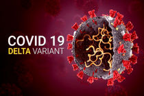 جدیدترین آمار کرونا در کشور تا ظهر ۱۱ تیرماه/ شناسایی ۱۳ هزار و ۸۳۶ بیمار جدید