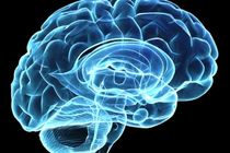 نقشه برداری از مغز با جدیدترین تجهیزات انجام می گیرد