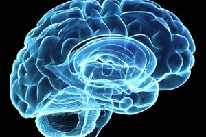 نقشه برداری از مغز با جدیدترین تجهیزات انجام می گیرد