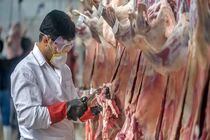 هشدار و آمادگی؛ ۴۰ گروه تخصصی دامپزشکی در میدان ذبح دام هرمزگان