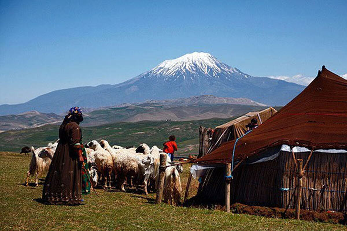 عشایر
