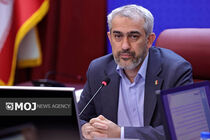 مداخلات دولتی بخش خصوصی را ناکارآمد کرده است