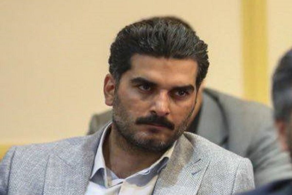 علی احمدنیا، سرپرست امور اطلاع رسانی شورای اطلاع‌رسانی دولت 