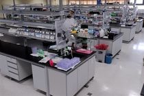 ۶۵ هزار نمونه در بانک خون بند ناف پژوهشگاه رویان وجود دارد