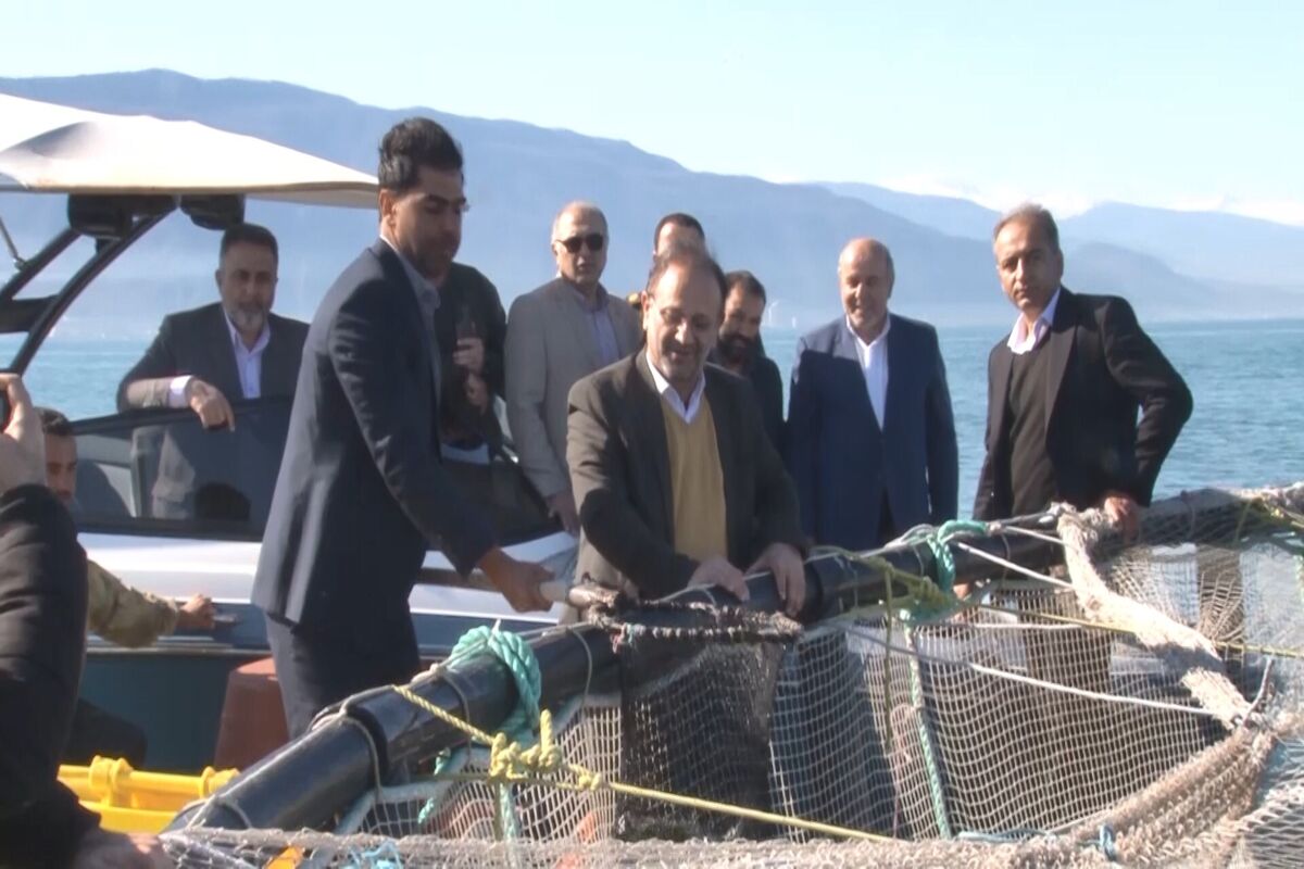 شیلات مازندران 