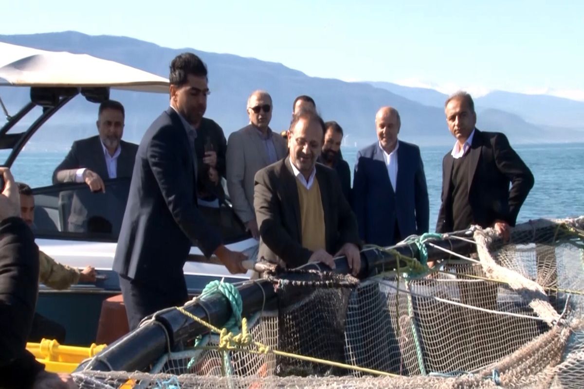 شیلات مازندران 