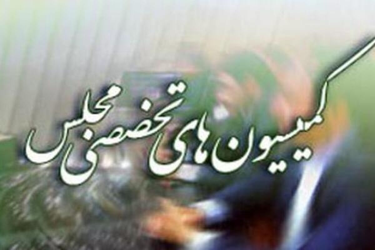 کمیسیون های تخصصی مجلس