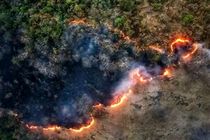 اطفای حریق جنگل الیت چالوس با هواپیمای ایلیوشین ۷۶ هوافضای سپاه + فیلم