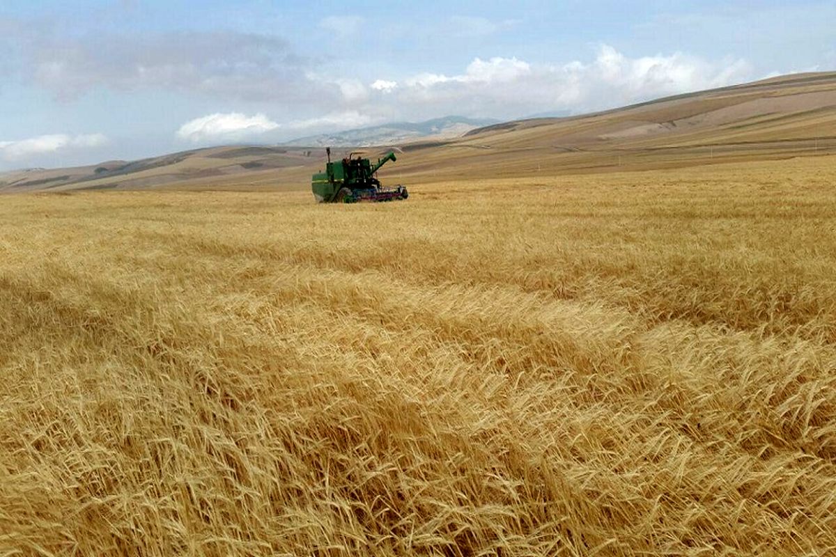 پول کشاورزان