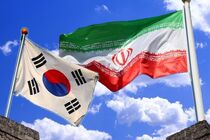 کره جنوبی مقابل آمریکا اراده ای ندارد/ مجلس و قوه قضائیه بر پیگیری حقوقی پول های بلوکه شده نظارت کنند