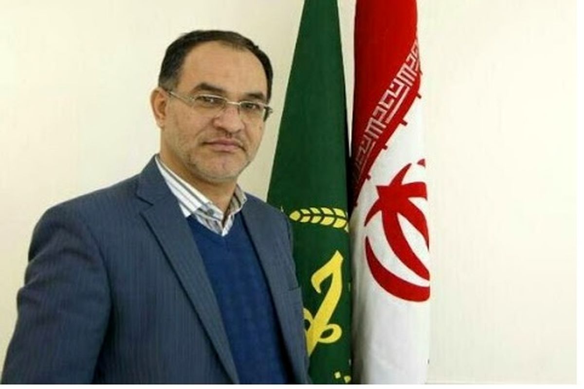 علیرضا قرراگوزلو