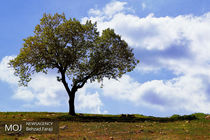 تصویب 2 طرح گردشگری در قم