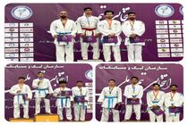 یک نشان طلا و دو برنز رهاورد کاراته کاهای استان فارس