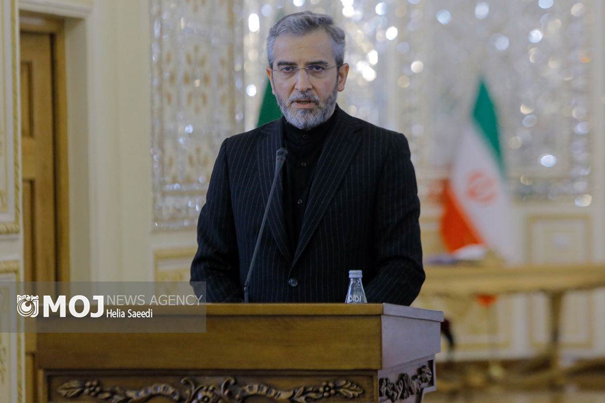 دیدار وزیر امور خارجه عمان با علی باقری