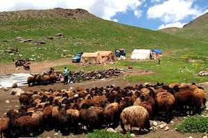  عشایر سنگر تولید را خالی نمی‌گذارند