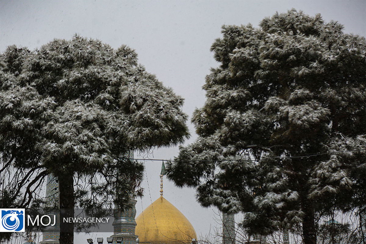 بارش برف زمستانی در حرم حضرت معصومه (س)