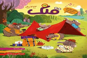 رئیس جمهوری و اعضای هیات دولت با رهبر معظم انقلاب اسلامی دیدار کردند