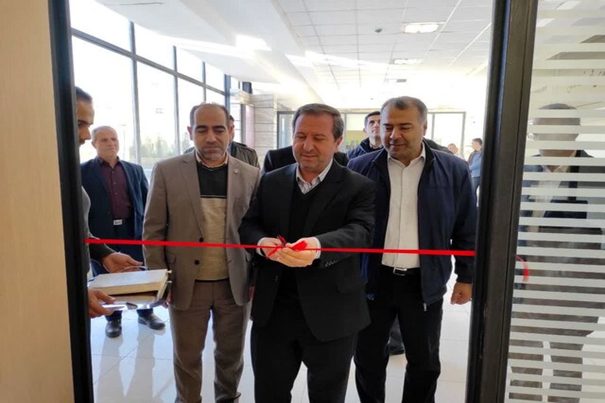 دانشگاه سهند