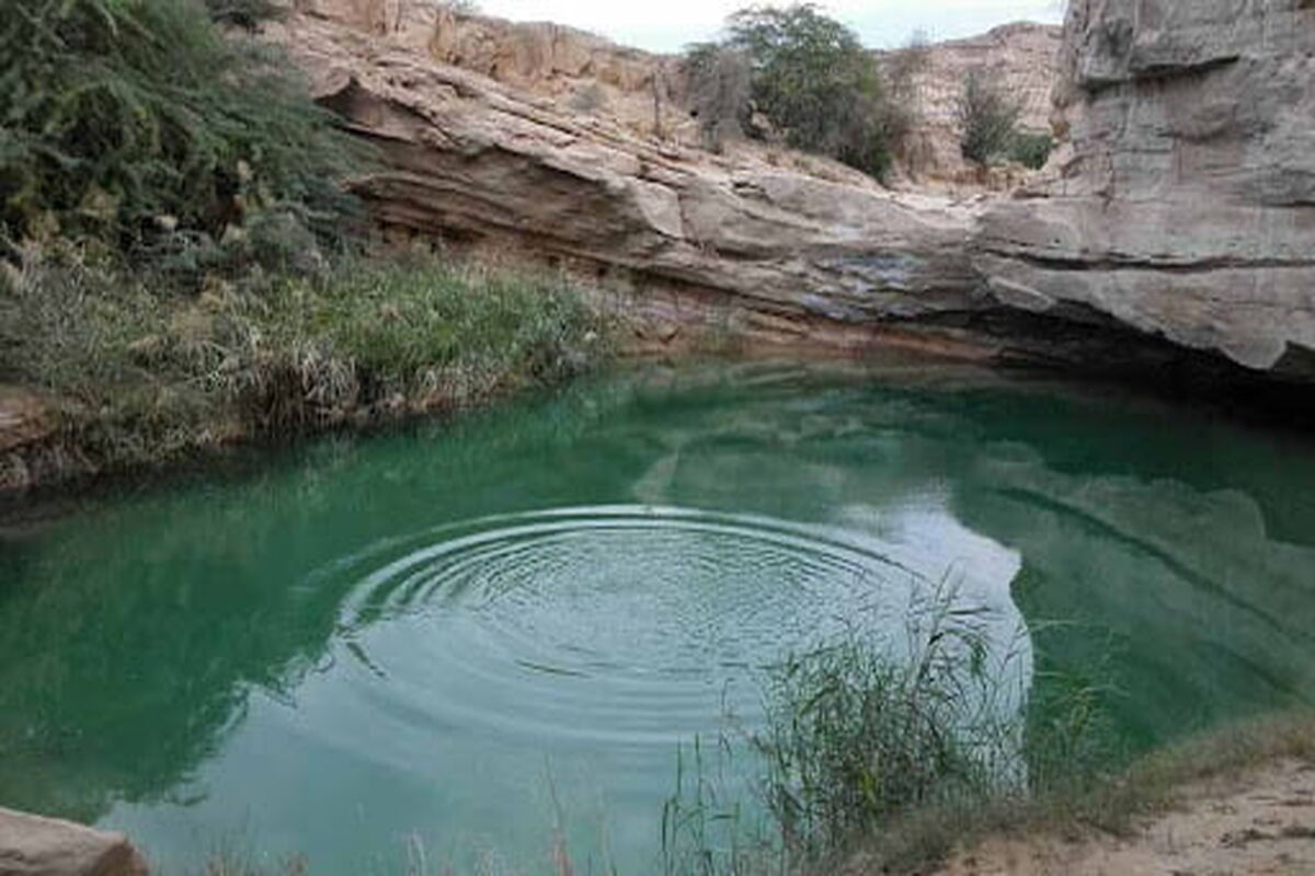 پارک پنجه علی