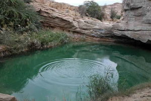 بهره برداری از ۵ پروژه عمرانی در پارک پنجه علی بندرعباس