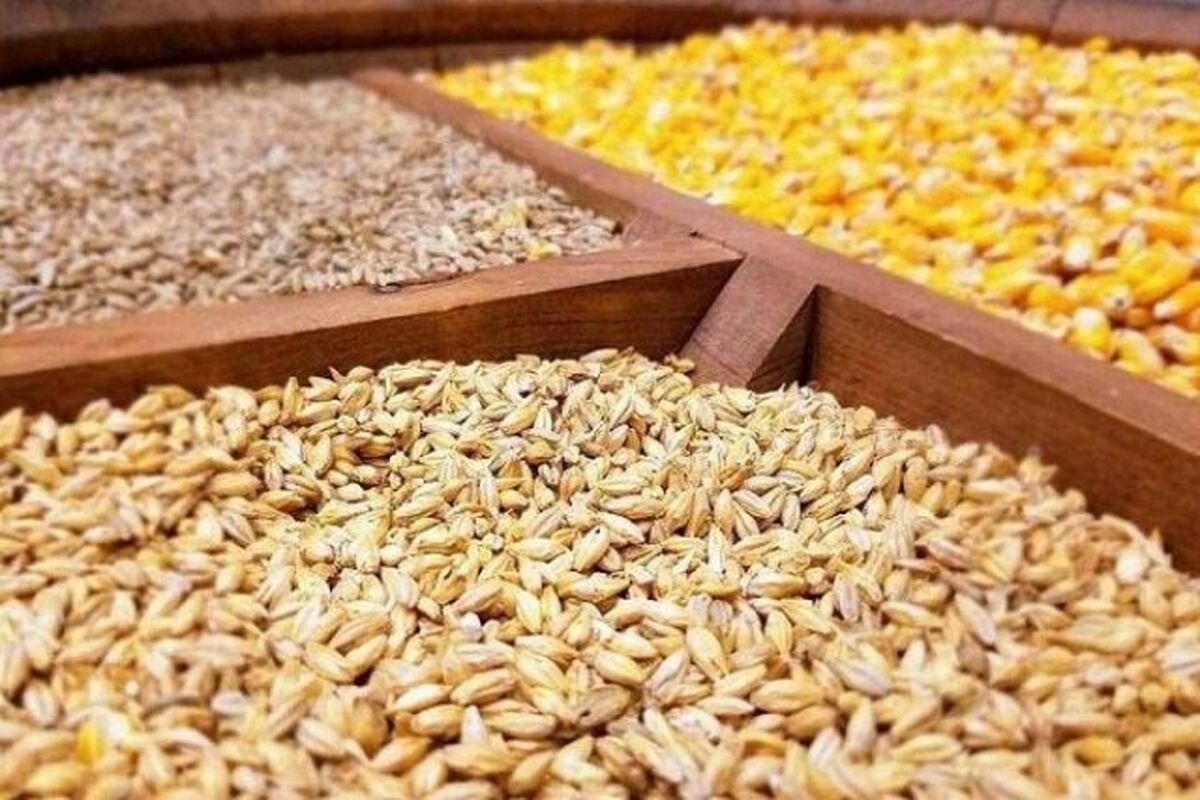 نهاده های دام و طیور