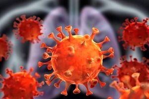 تشریح آخرین وضعیت کرونا در هرمزگان