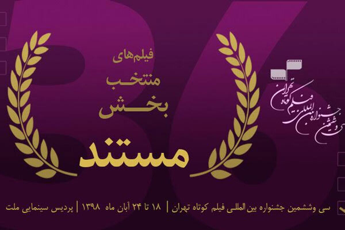 بخش مسابقه مستند جشنواره فیلم کوتاه تهران