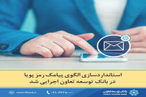 استانداردسازی الگوی پیامک رمز پویا در بانک توسعه تعاون اجرایی شد