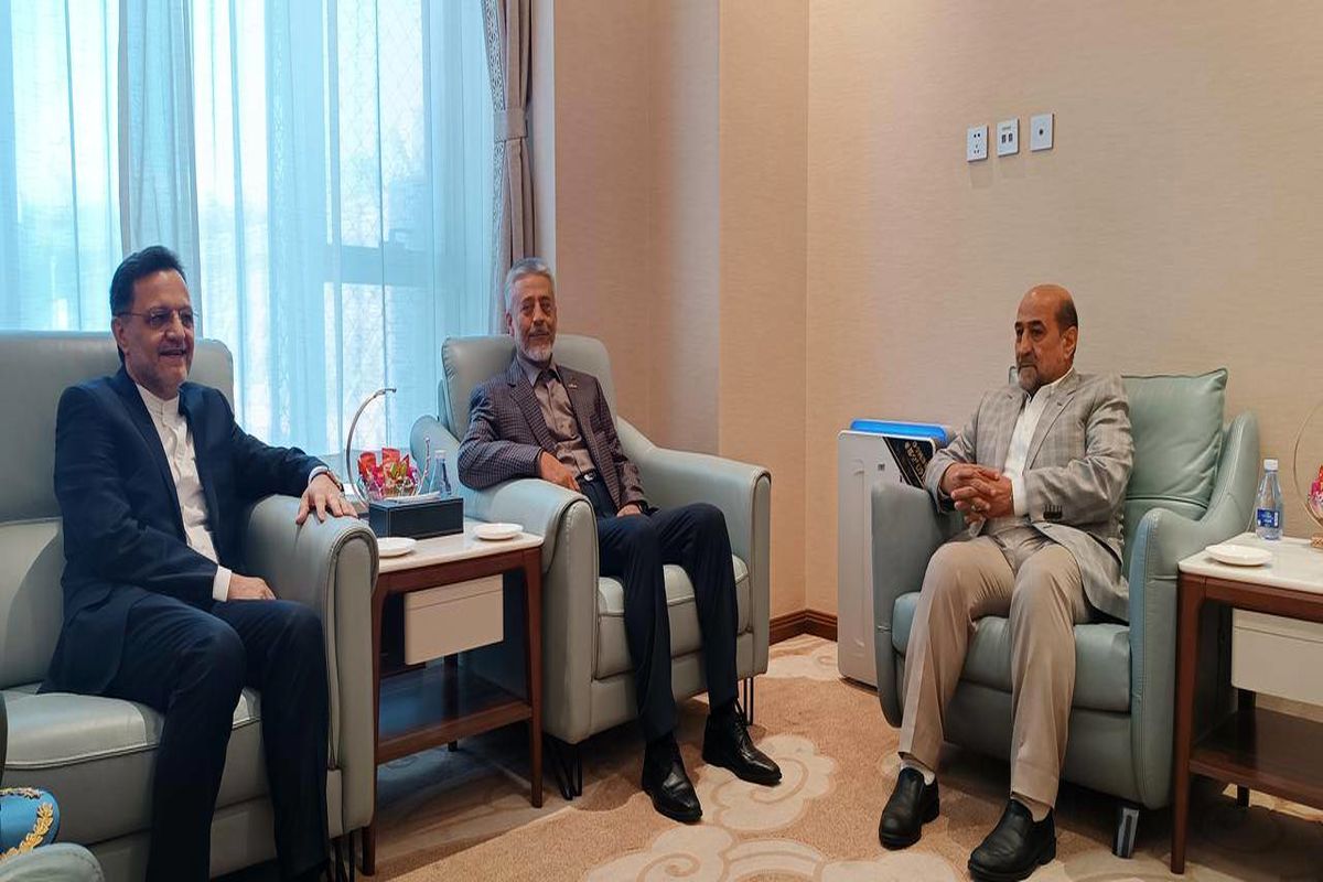 معاون هماهنگ کننده ارتش در چین
