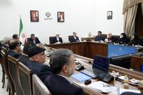 دولت در برابر مدیری که تولید را متوقف کند از اقتدار خود استفاده خواهد کرد