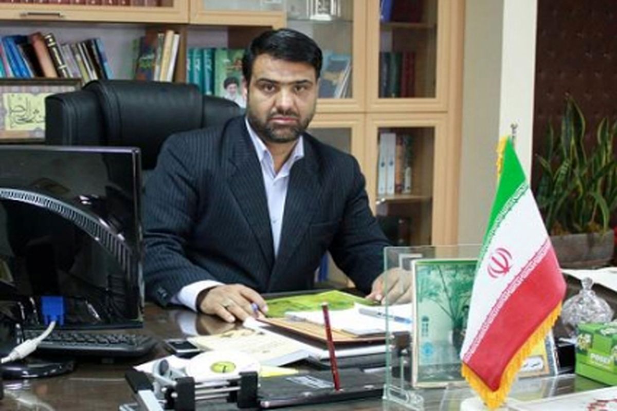 حسین امیری گنجه