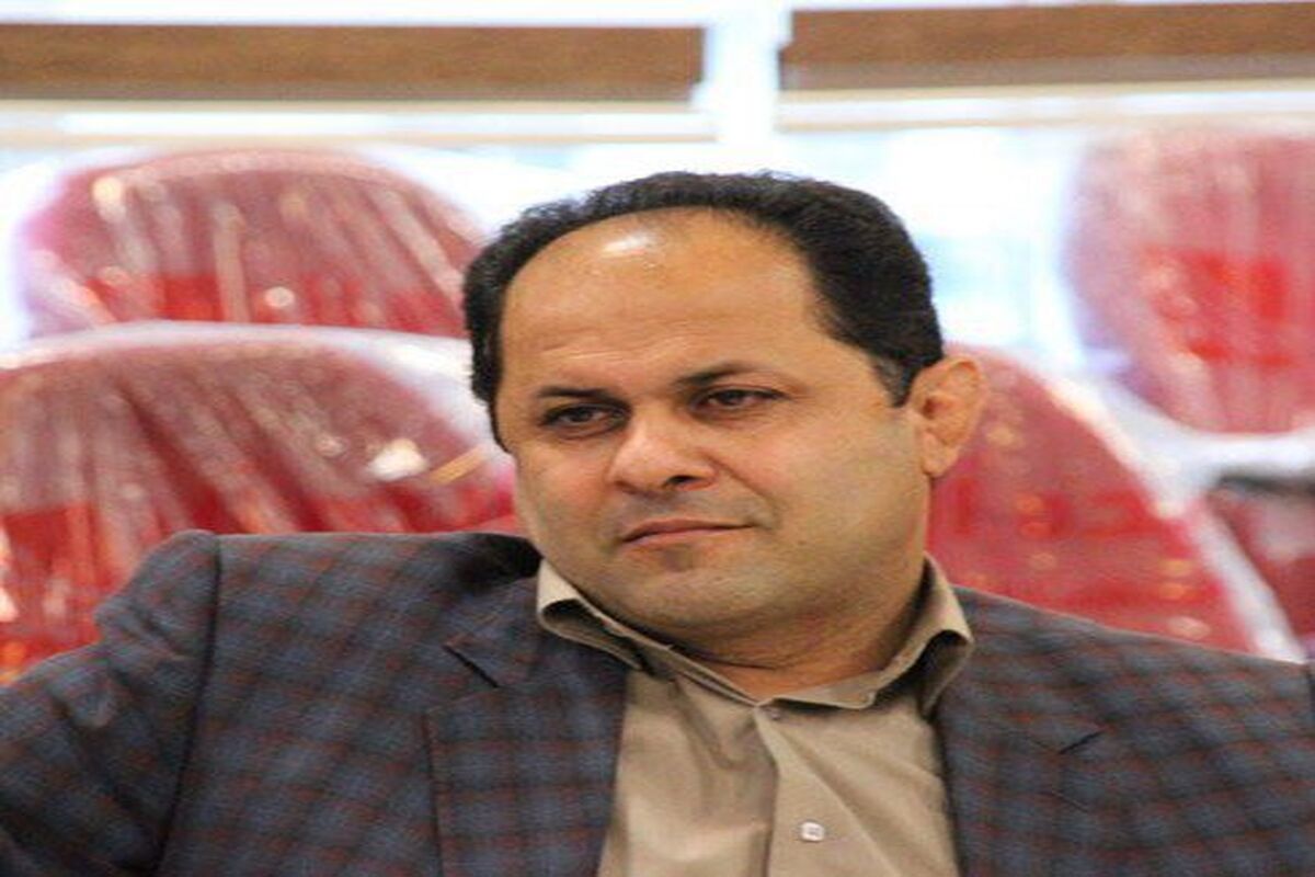 امیرنیا